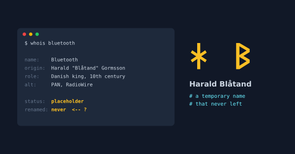 The Viking behind Bluetooth